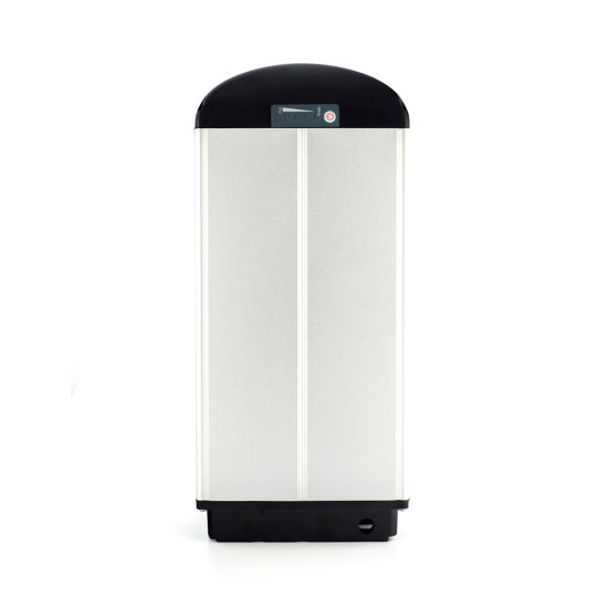 48V 20ah Lithium Ion Battery Pack for Electric Vehicle