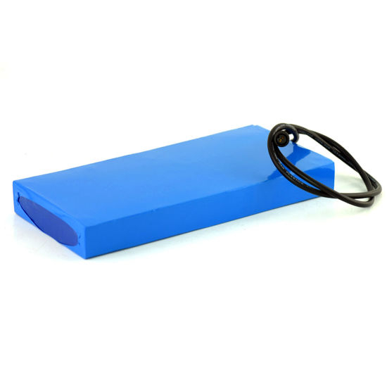 Customized 20ah 12V LiFePO4 Battery Pack with BMS