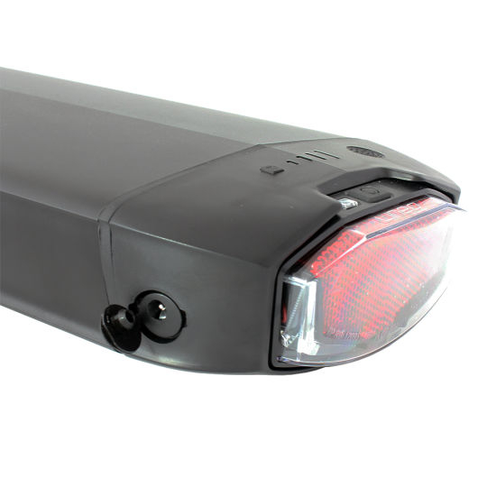 48V 20ah Li-ion Battery for Electric Bicycle with LED