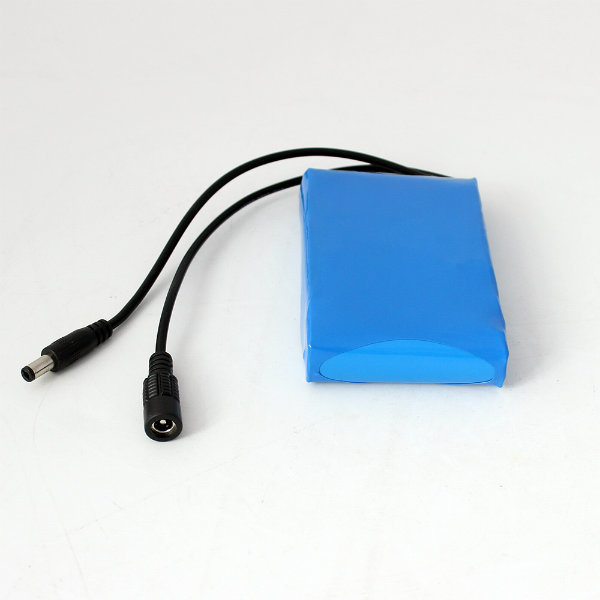 12V Portable Rechargeable 4000mAh Customized Lithium Battery Pack