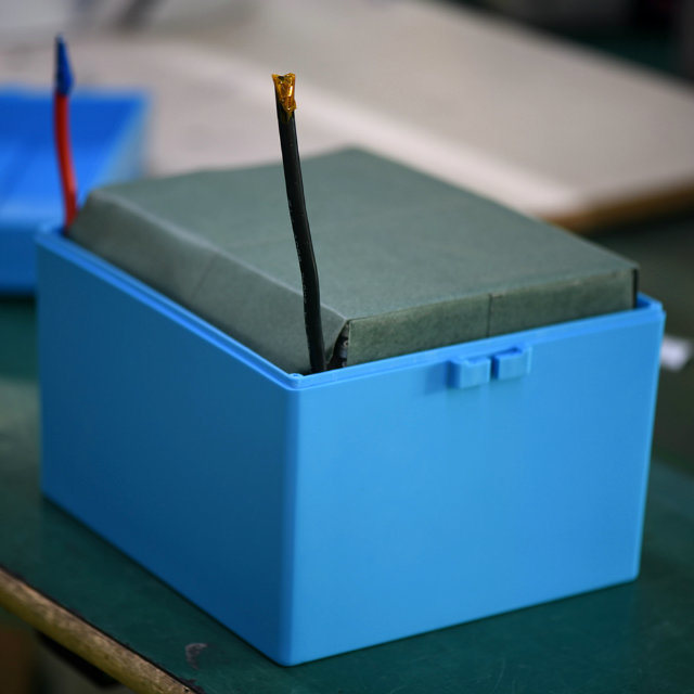 LiFePO4 Battery Pack with BMS and Protective Case