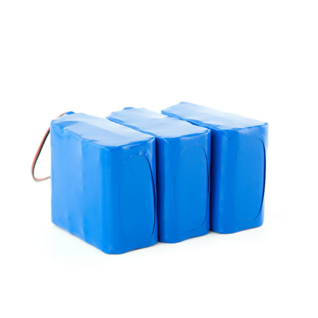 24V 12ah 6s5p Recharegeable Li Ion Battery Pack with Case