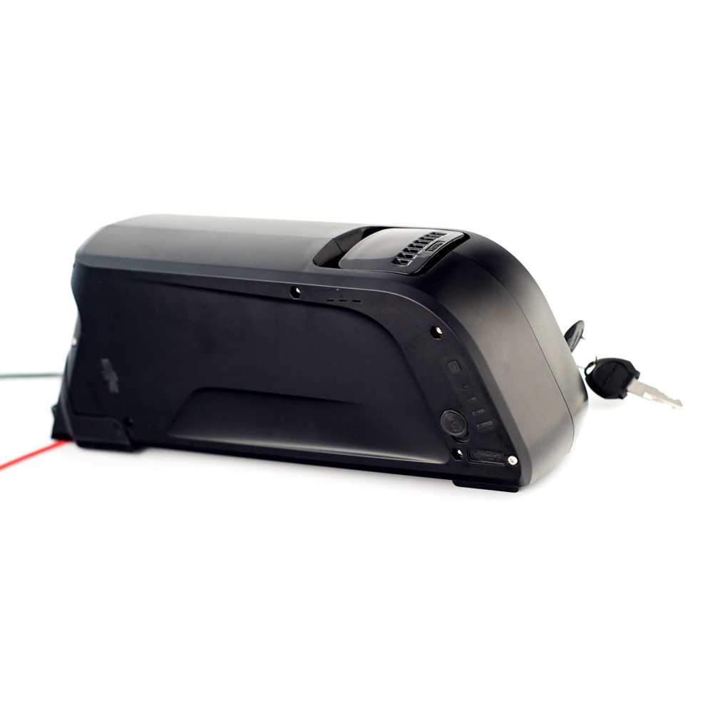 Dolphin Battery Down Tube Type Ebike Bicycle Lithium Battery 48V 13ah Lithium Battery