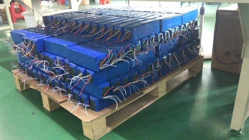 Customized Li-ion Battery 24V 36V 48V Lithium Ion Battery for Electric Bike Silver Fish
