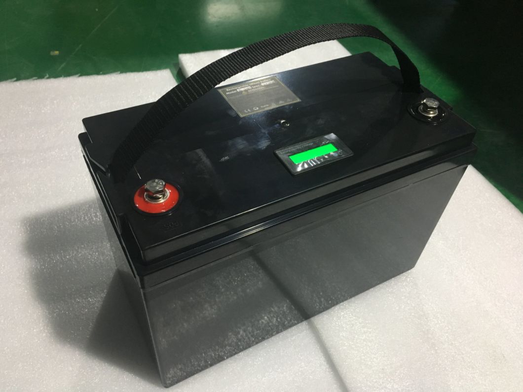 Portable Lithium Ion LiFePO4 Battery 4s2p Pack 12V 100ah