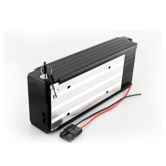48V 20ah Rechargeable Lithium Ion Battery Pack 48 Volt Electric Scooter
