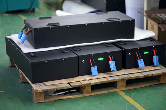 EV Car Battery LiFePO4 48V 200ah BMS Camper Prismatic Batteries