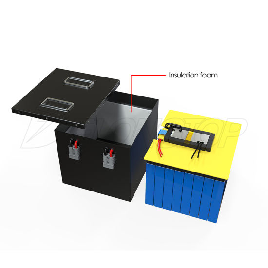Lithium Battery 48V 50ah LiFePO4 Battery Electric Vehicle Battery for Solar Energy/Electric Car/ Boat/Golf Cart