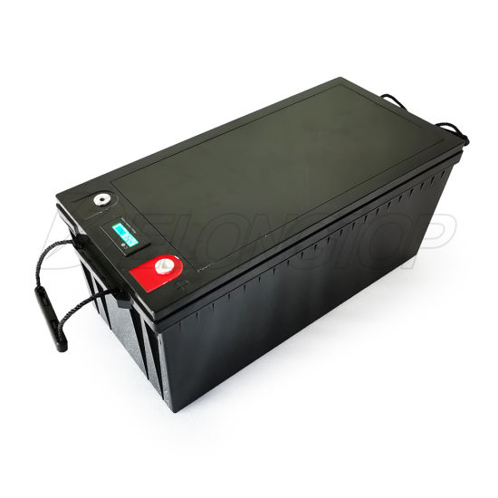 LiFePO4 Lithium Ion Battery Pack with BMS 24V 100ah for Solar Wind Power System
