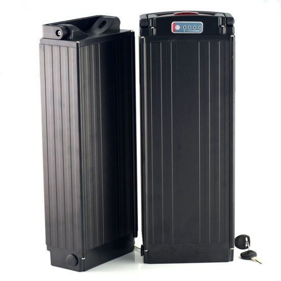 Rechargeable 48V 20ah Lithium Battery for 1000W Electric Bicycle