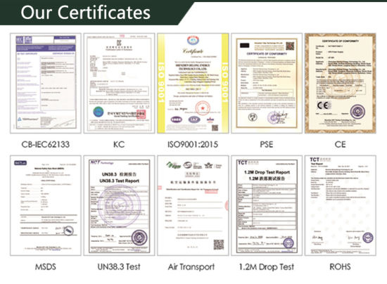 Ce MSDS Approved Deep Cycle Lithium LiFePO4 12V 10ah Deep Cycle Battery