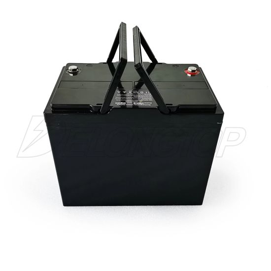 Portable Lithium Ion LiFePO4 Battery 4s2p Pack 12V 100ah