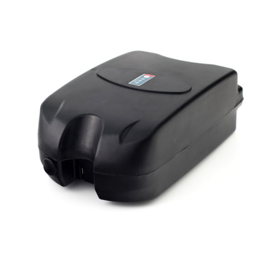 Frog Battery 24V 12ah Lithium Battery for Electric Bicycle Power Supply