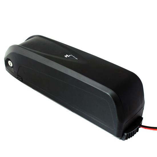 Custom Hai Long Electric Bike Battery Electric Vehicle Batteries with BMS