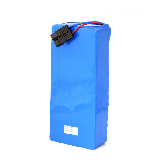 48V20ah Battery Pack for 1000W Electric Scooter Bicycle