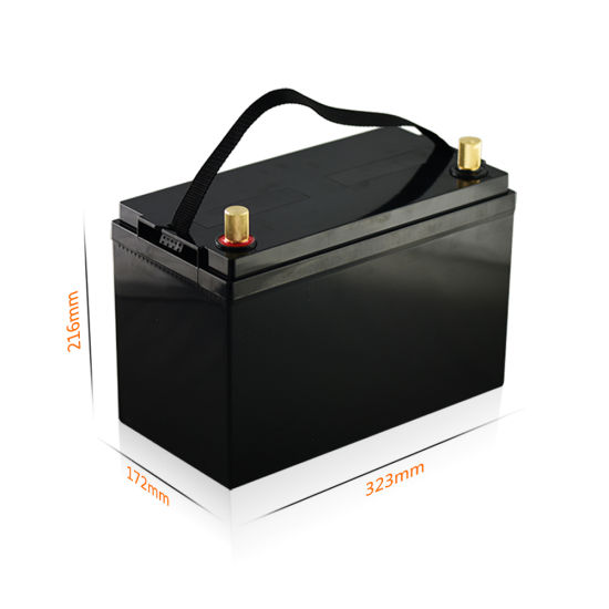 Sealed Case Storage Battery Lithium 12V 100ah LiFePO4 Battery Pack