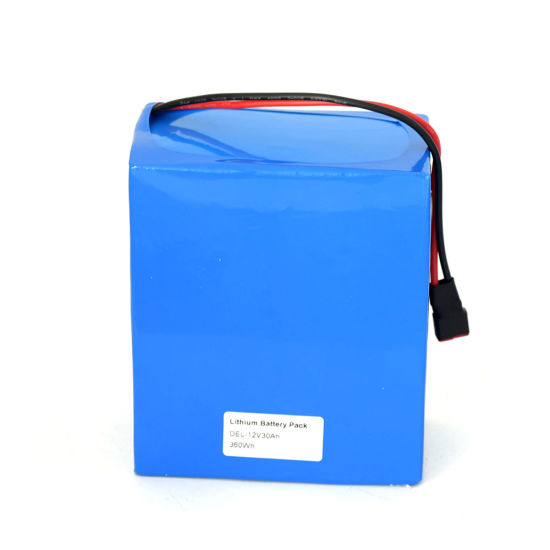 3s3s 12V Lithium Polymer Battery Pack for LED Light