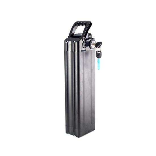 Li-Po Battery 48V12ah BMS and Charger for E-Bike