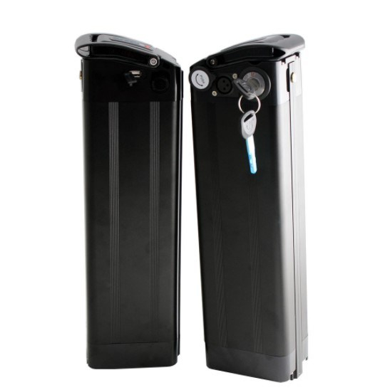 Customize Lithium Ion Pack 48V 20ah Battery for Electric Bike