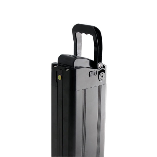 Hot Selling in Israel 48V 10ah Electric Bike Battery with USB for Ebike