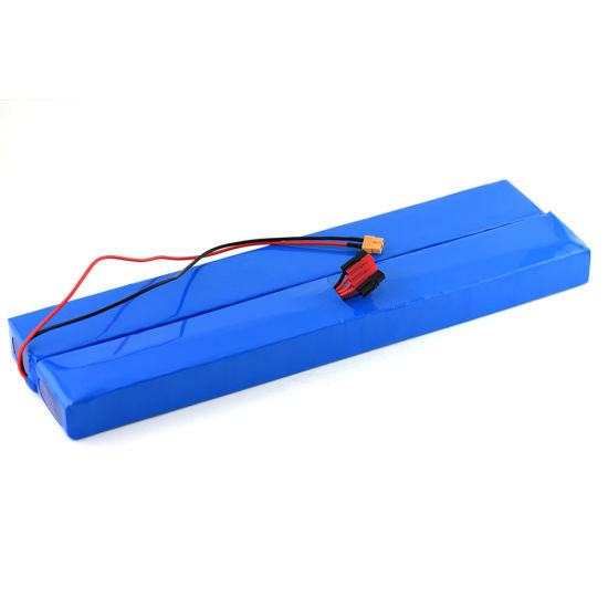 48V 10ah Rechargeable Lithium Ion Battery Pack