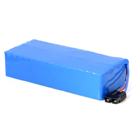 Manufacture Price 48V 20ah Deep Cycle Lithium Ion Battery Pack