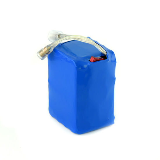18650 Lithium Ion Battery Pack 6s4p for LED Light