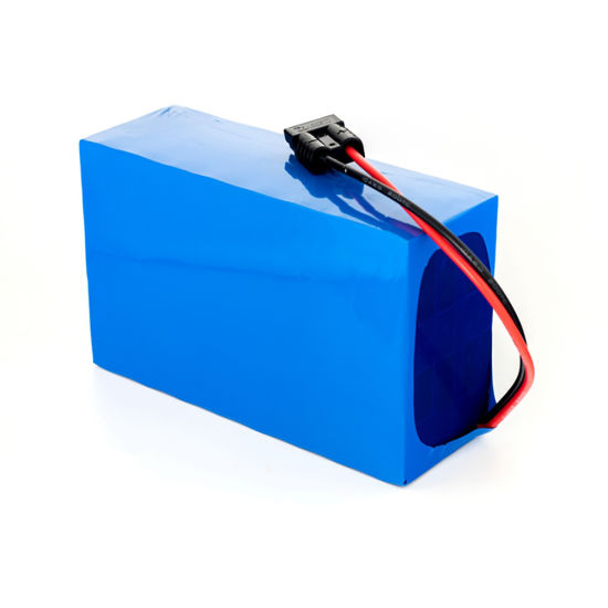 Customized High Power 36V 24ah Li Ion Electric Bike Battery Pack