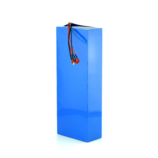 24V 40ah Lithium Ion Battery Pack for EV Car