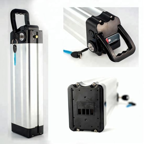 Rechargeable Silver Fish Type 48V 12ah Electric Bicycle Battery with BMS Charger