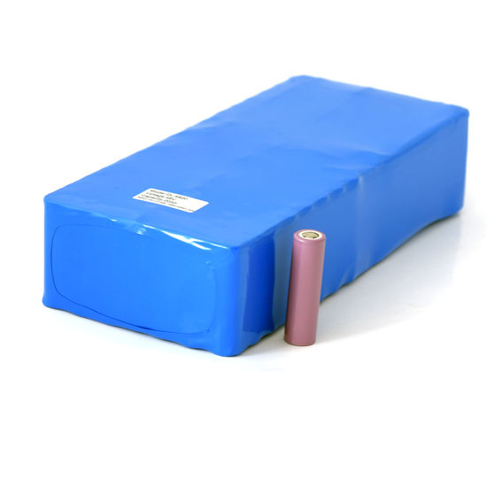 48V 20ah Rechargeable Lithium-Ion Battery Pack for E-Bike