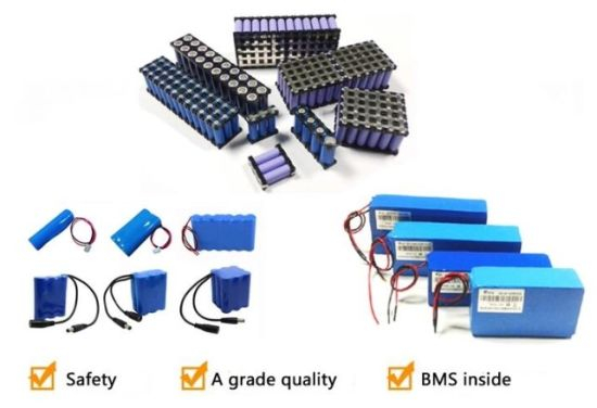 DC12V Customized LiFePO4 Cell Battery Pack with BMS and Protective Case