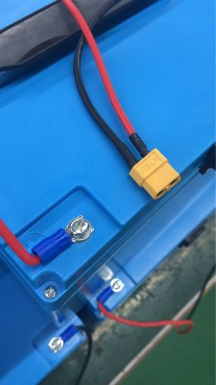 Rechargeable LiFePO4 12V 100ah Ion Battery Pack for EV and Solar Street Light