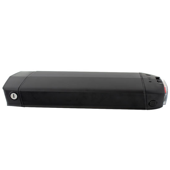 48V 20ah Li-ion Battery for Electric Bicycle with LED