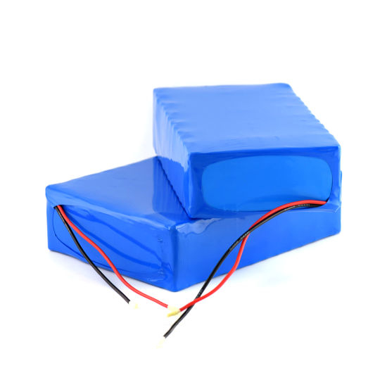 Factory Manufacture 18650 Brand Cell Lithium Battery 48V 20ah/25ah Electric Bike Scooter Battery Pack