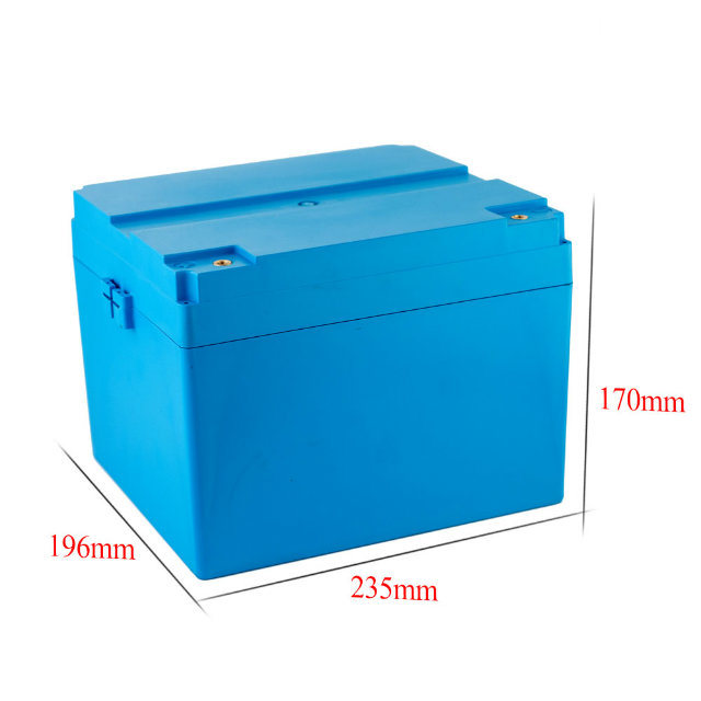 DC12V Customized LiFePO4 Cell Battery Pack with BMS and Protective Case