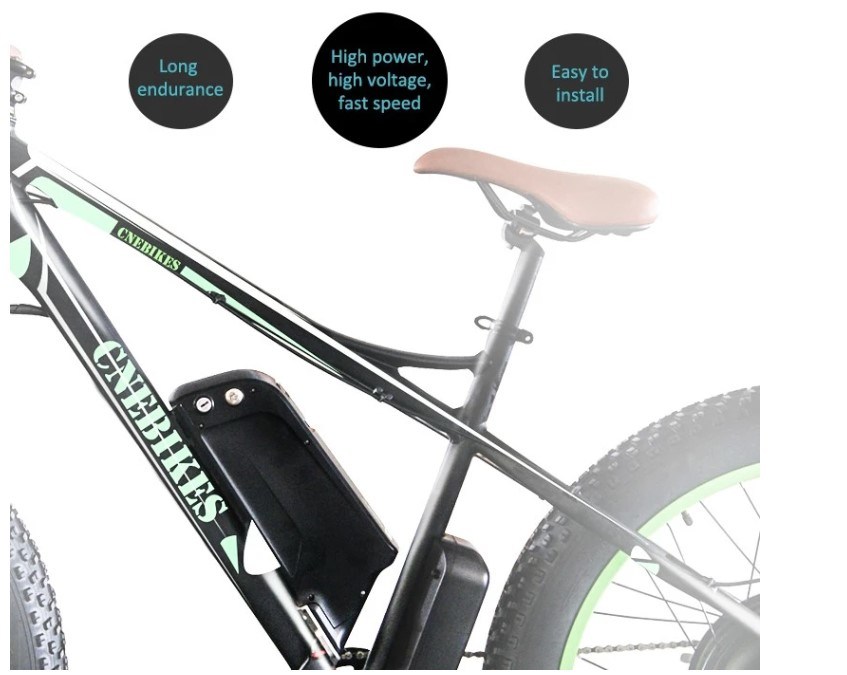 Long Life Cycle Dolphin Type 48V 10ah Lithium Ion Battery Pack for E-Bike Electric Bicycle Battery