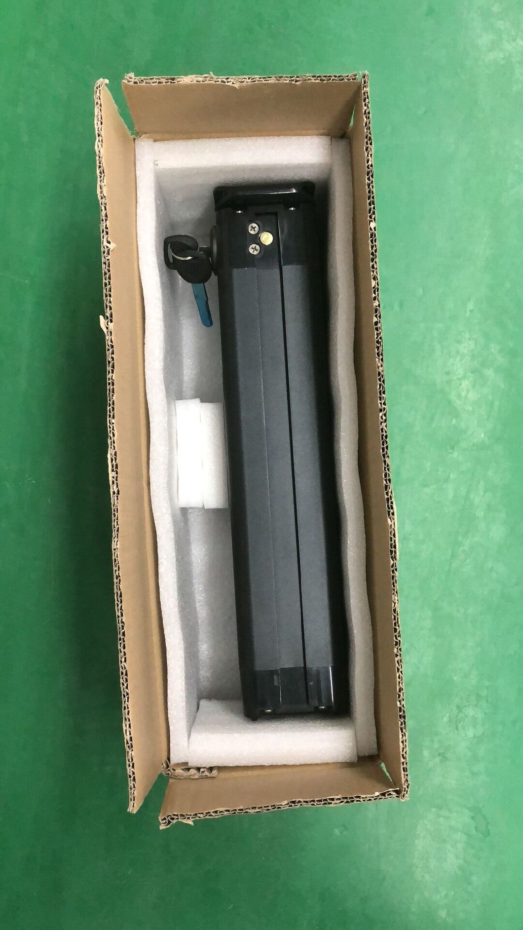 Customized Li-ion Battery 24V 36V 48V Lithium Ion Battery for Electric Bike Silver Fish
