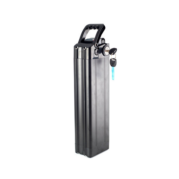 10ah 36V 18650 Lithium Battery Pack with Sliver Fish Model