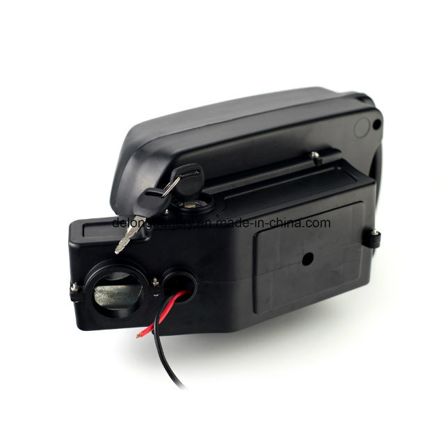 24V Electric Bike Lithium Ion Battery Small Frog Type