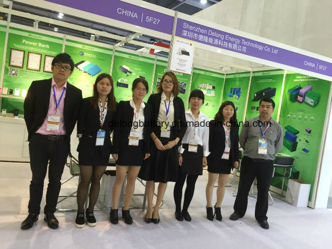 7.4V 4400mAh 18650 Li-ion Battery Pack with PCM