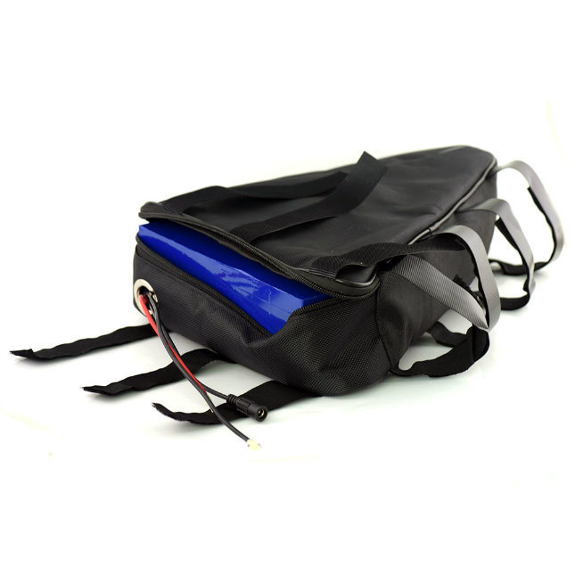 48V 20ah Rechargeable Triangle Battery with Triangular Bag