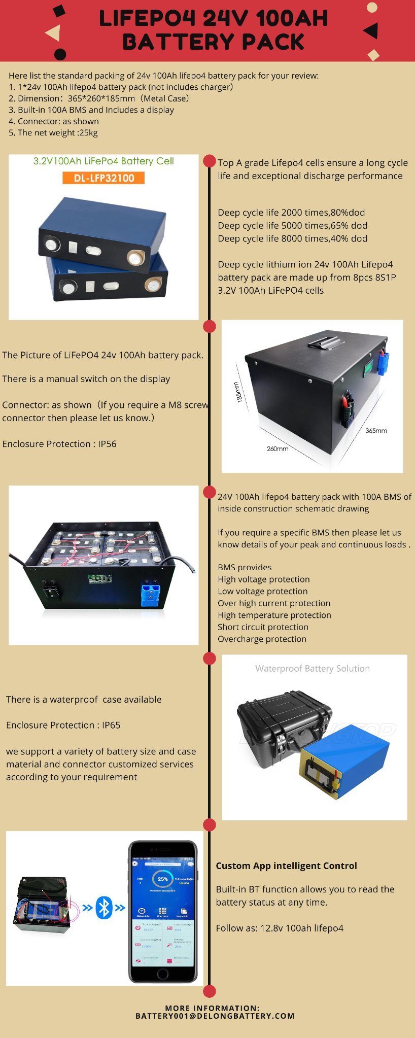 Deep Cycle Lithium Battery 24V 100ah LiFePO4 Battery Pack