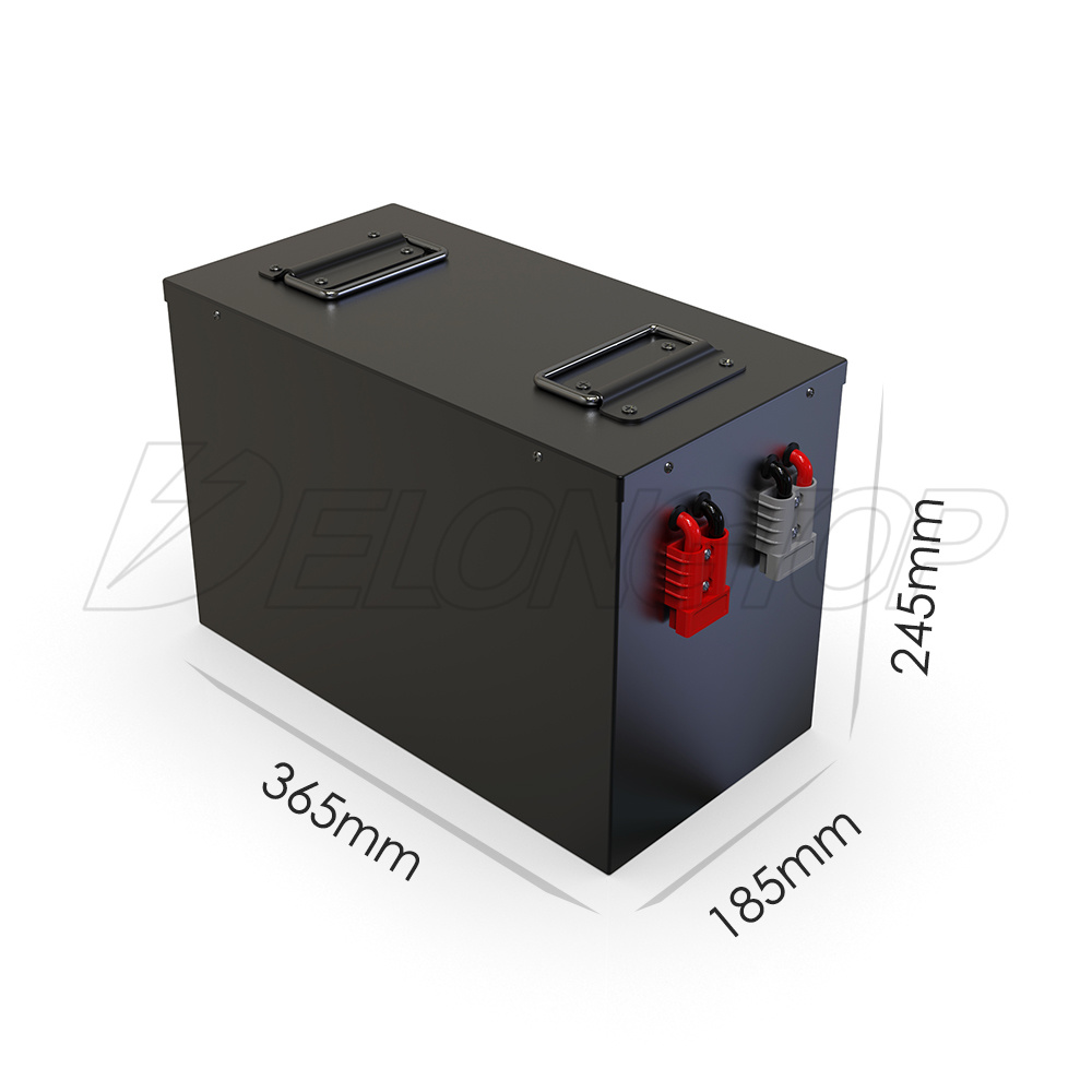 Deep Cycle 2000 Cycel Times Solar LiFePO4 12V 200ah Battery Pack 100ah for EV