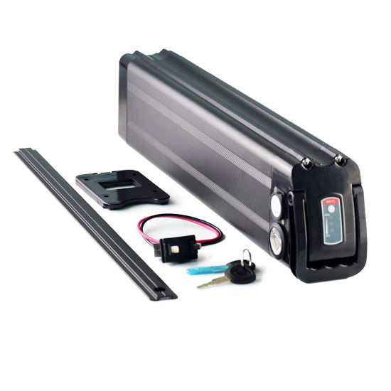 Customized Li-ion Battery 24V 36V 48V Lithium Ion Battery for Electric Bike Silver Fish
