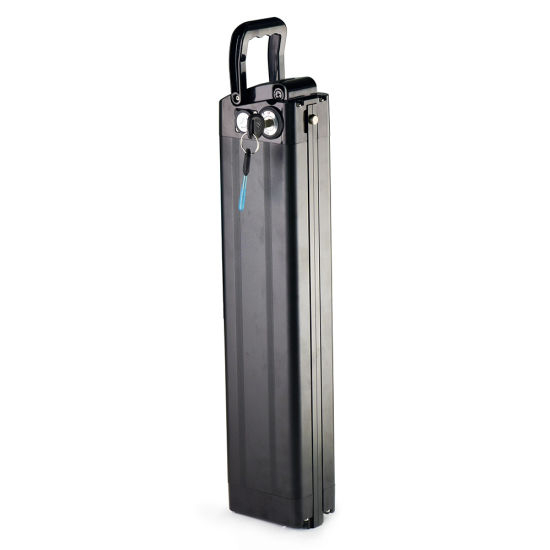 48V 20ah Silver Fish Lithium Ion Rechargeable Battery Pack for 750W 1000W Electric Bike Motor