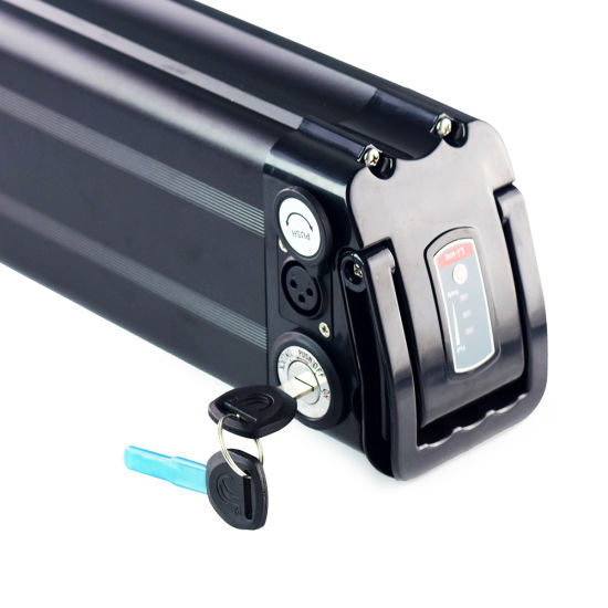 48V 10ah Lithium Ion Battery for E-Bicycle