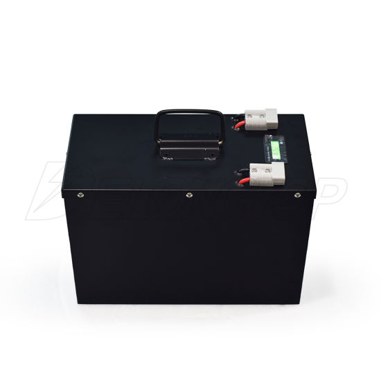 Li-ion Type 5kwh 24V 100ah/180ah Lithium Ion Battery for Solar Storage System