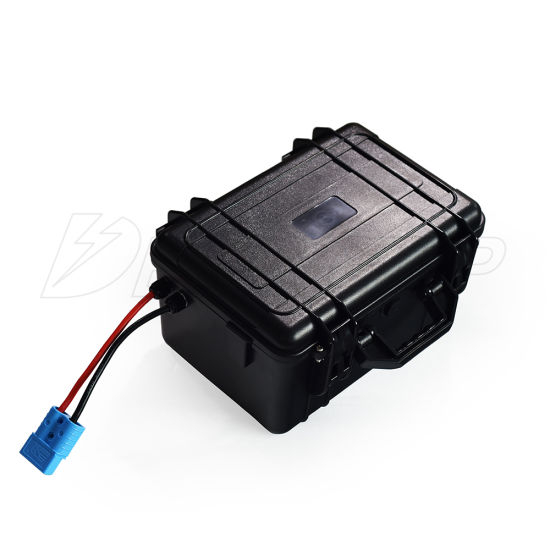 Rechargeable Lithium Battery 24V 100ah Deep Cycle LiFePO4 Battery