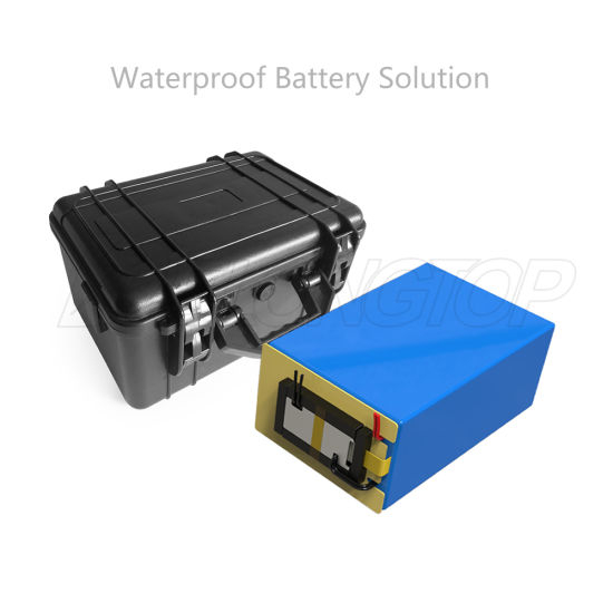 Rechargeable Solar 48V 50ah Lithium LiFePO4 Battery Pack with Waterproof ABS Case